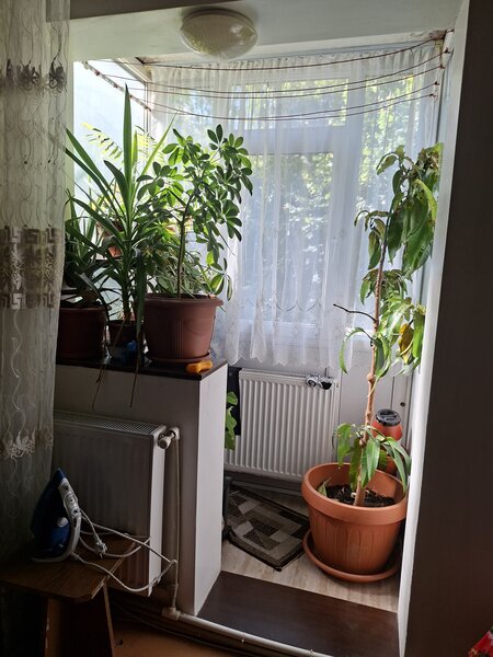 Piata Progresului