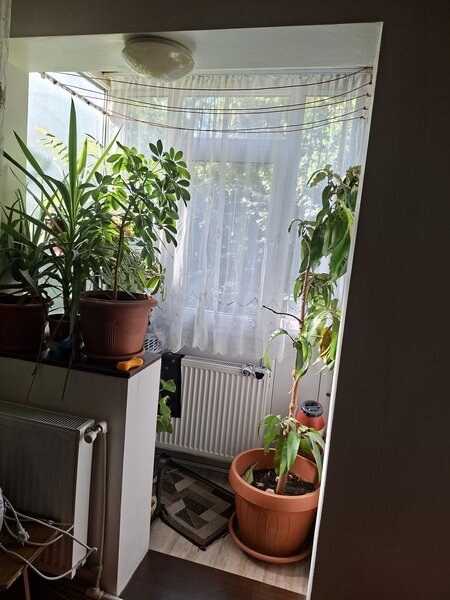 Piata Progresului