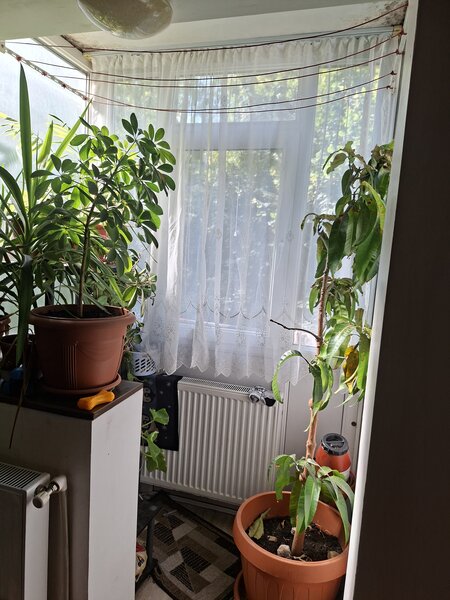 Piata Progresului